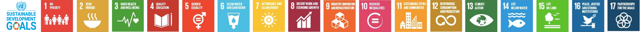 SDG Icons